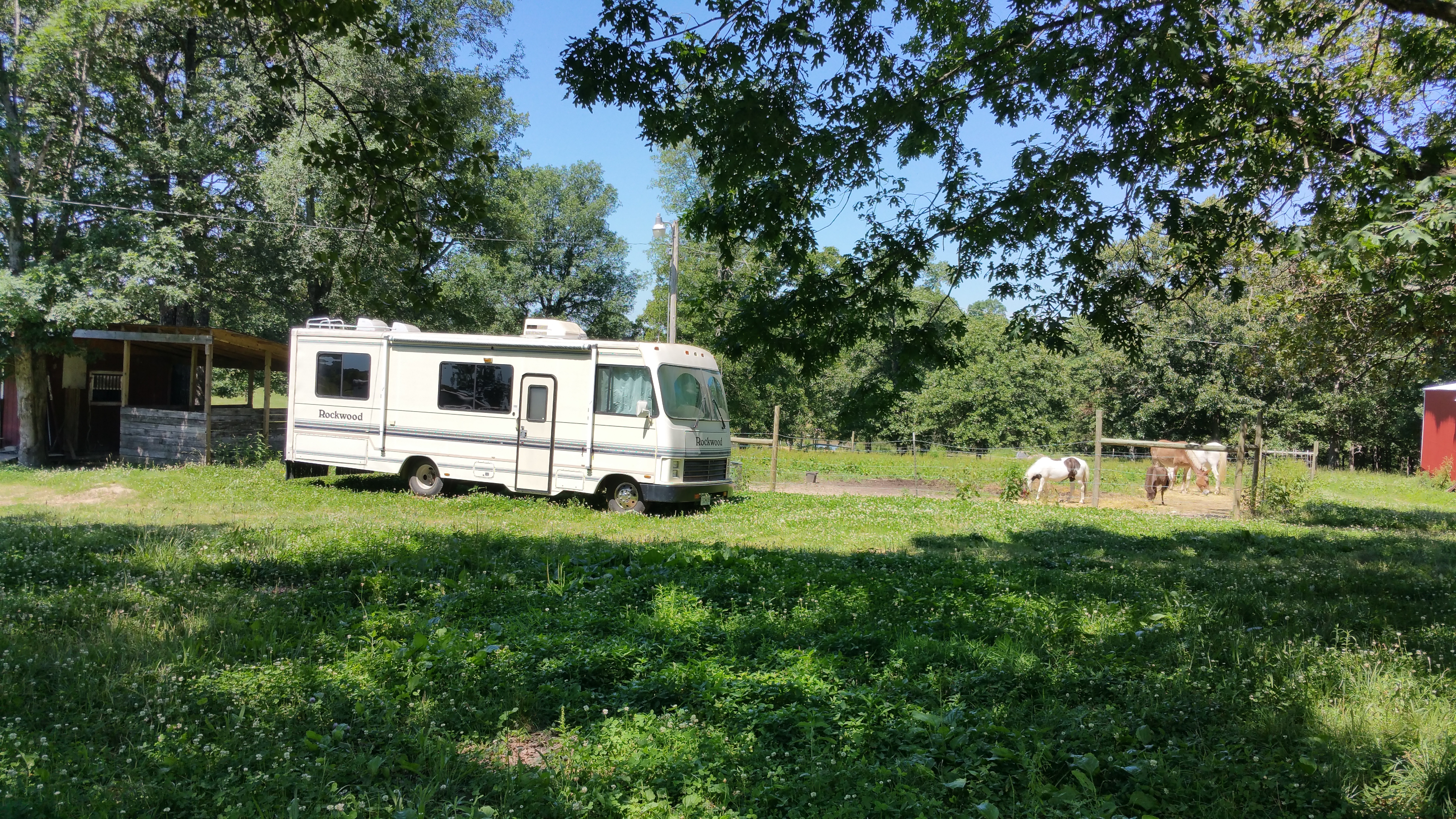 Are Rexhall motor homes positively reviewed?